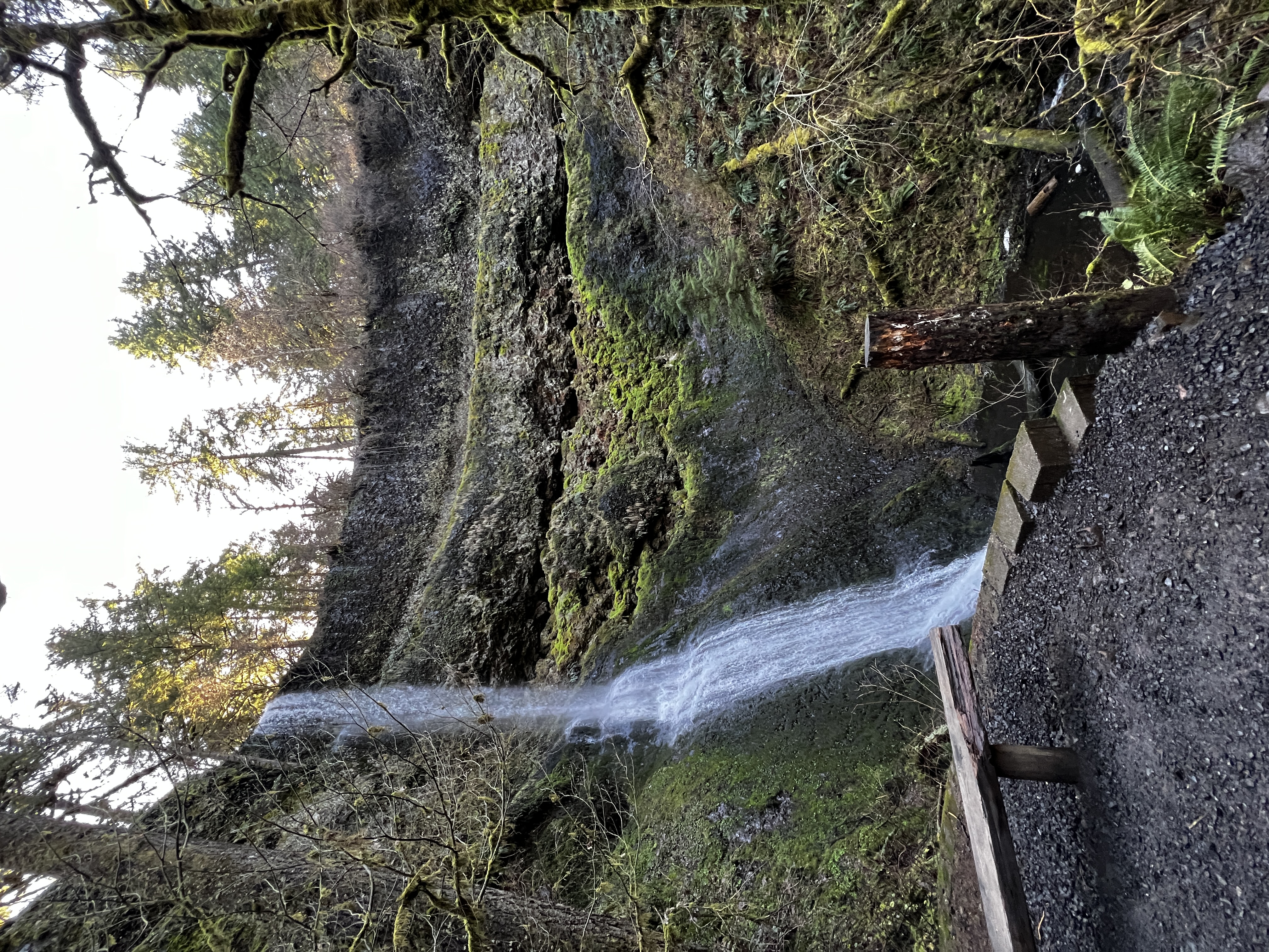 Winter Falls