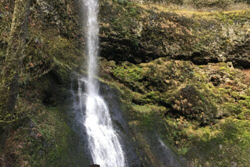 Winter Falls Winter Falls