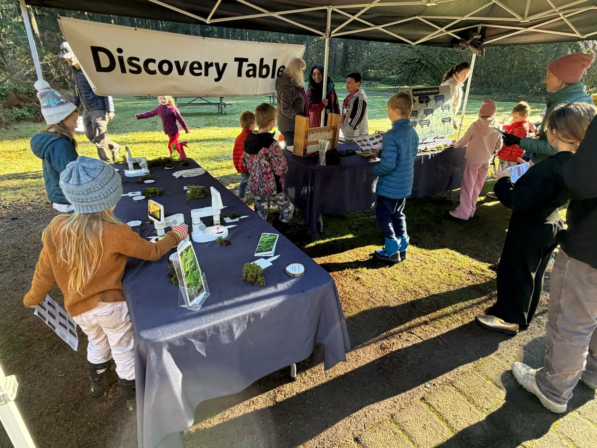 Children exploring nature exhibits at Discovery Table during Winter Festival at Silver Falls State Park Oregon