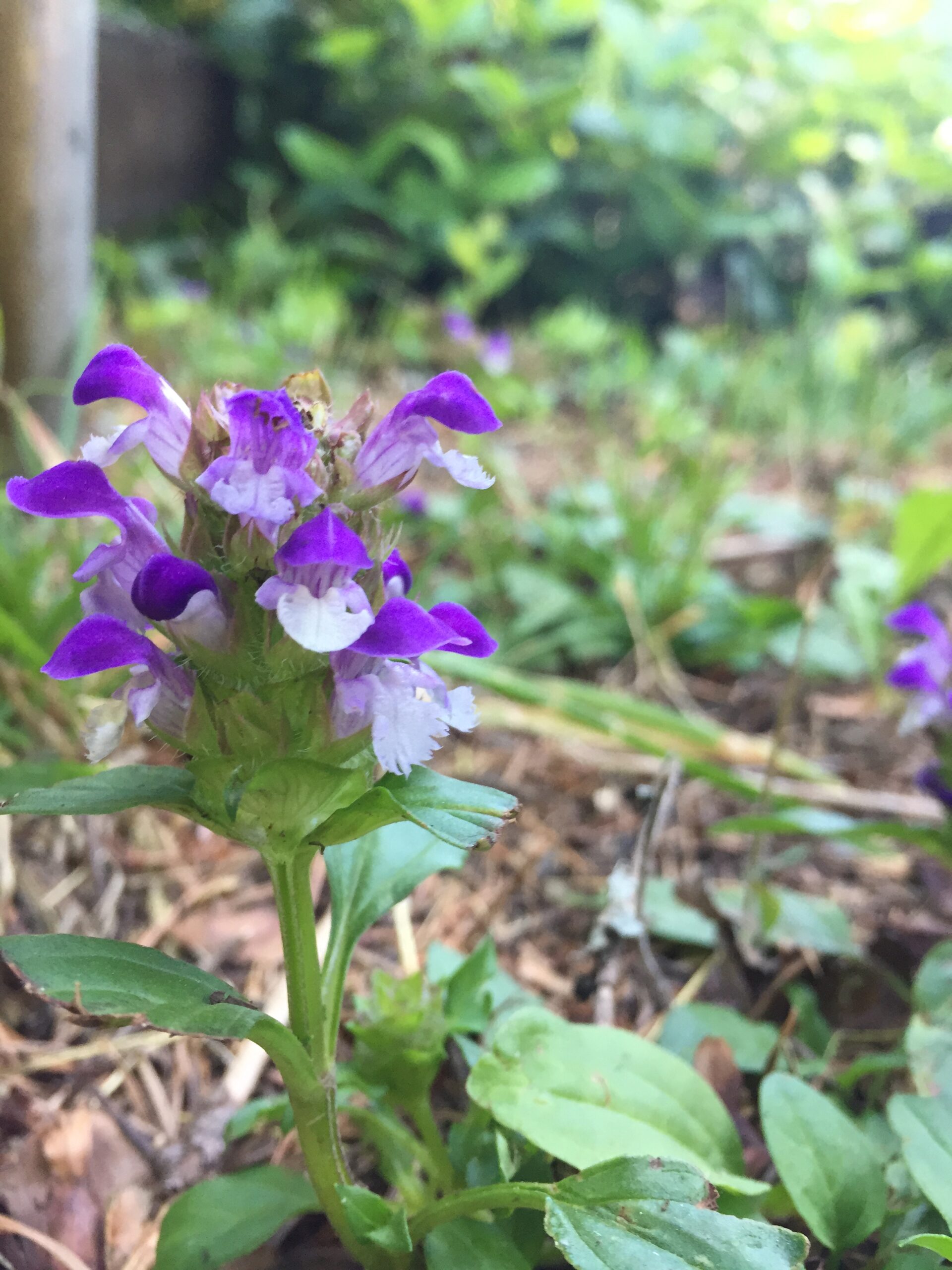 Self-heal