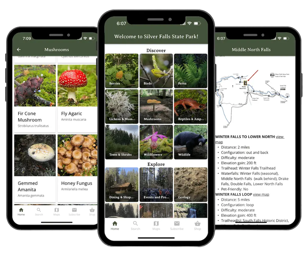 mother's day birding and wildflower Friends of Silver Falls App