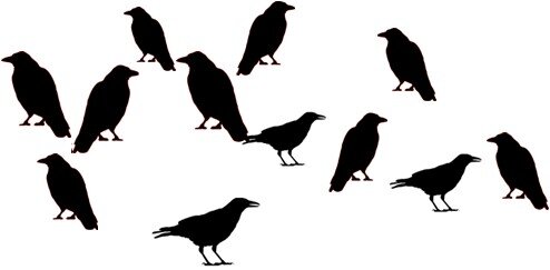 crows silhouette.jpg