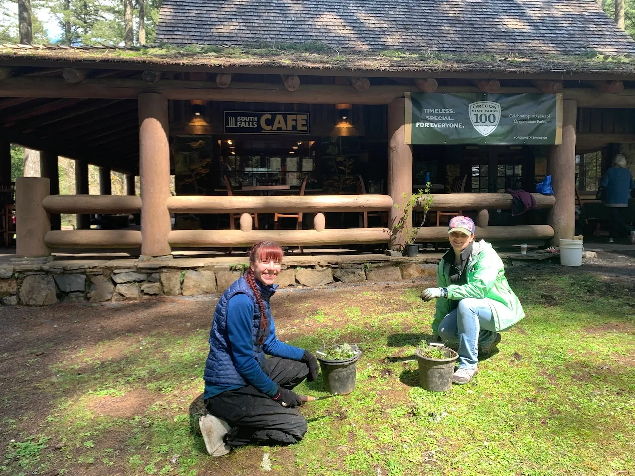 Two volunteers appear to be planting or restoring native vegetation on the grounds outside the South Falls Café at Silver Falls State Park