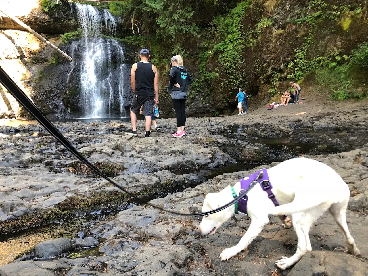 Upper North Falls waterfall surrounded by lush forest