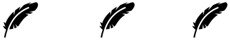 feather dividers.jpg