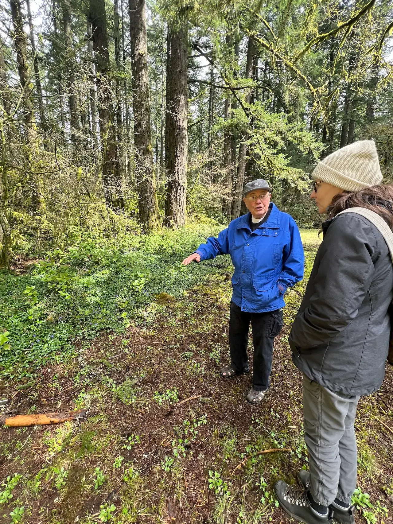 Park visitors enjoying a guided nature walk through the forest at Silver Falls State Park in Oregon