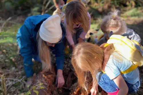 Adult and young children exploring a fallen log in a sunlit forest, examining nature during a junior ranger outdoor activity.