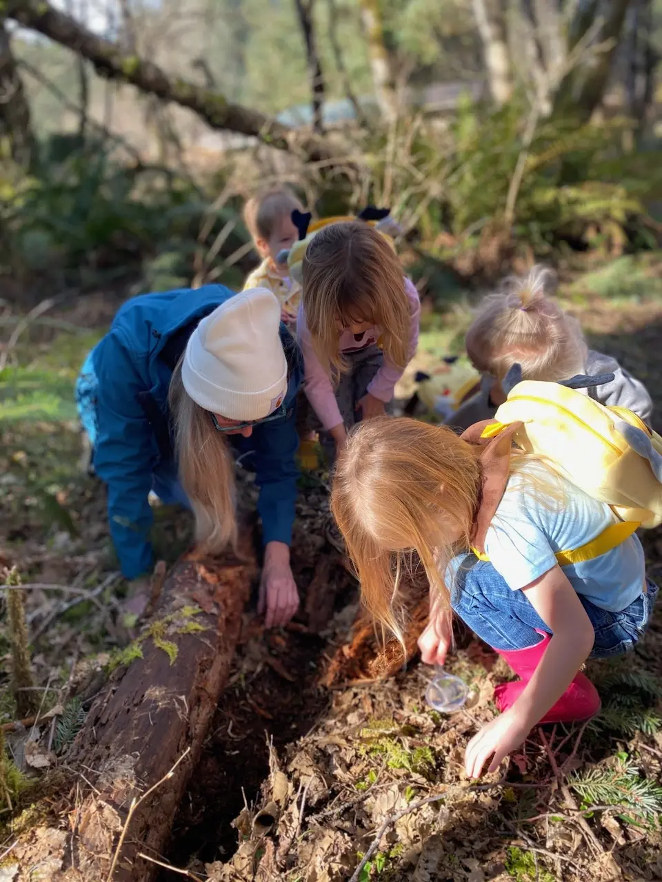 Adult and young children exploring a fallen log in a sunlit forest, examining nature during a junior ranger outdoor activity.