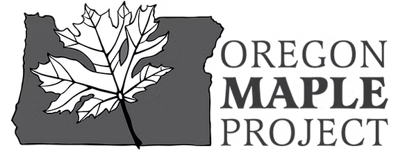 maple project logo.png