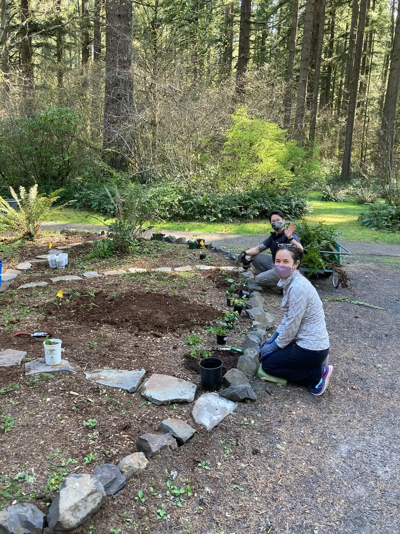 Volunteers planting and tending a native garden in a peaceful forest setting
