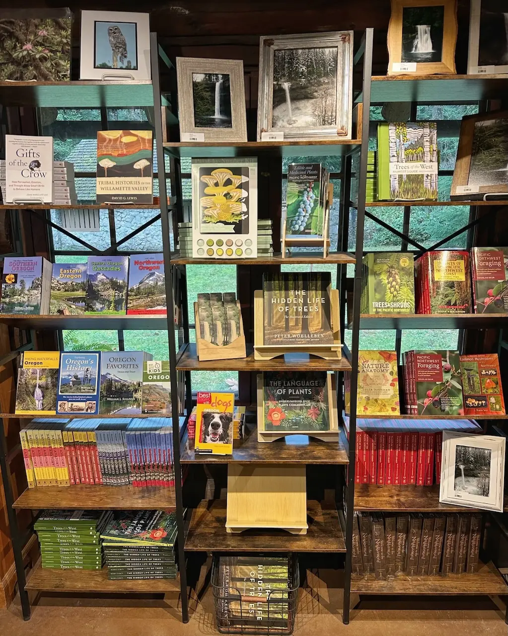 discovery tables Nature bookstore display featuring Pacific Northwest hiking guides, foraging books, and forest photography prints
