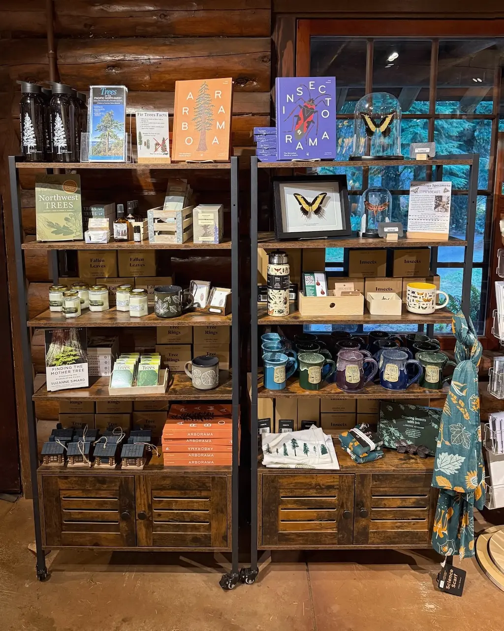 nature store Nature-inspired gift shop display with tree books, insect art, handmade mugs, and forest-themed gifts