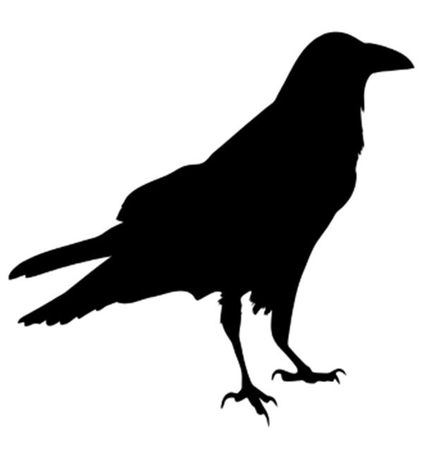 raven silhouette.jpg
