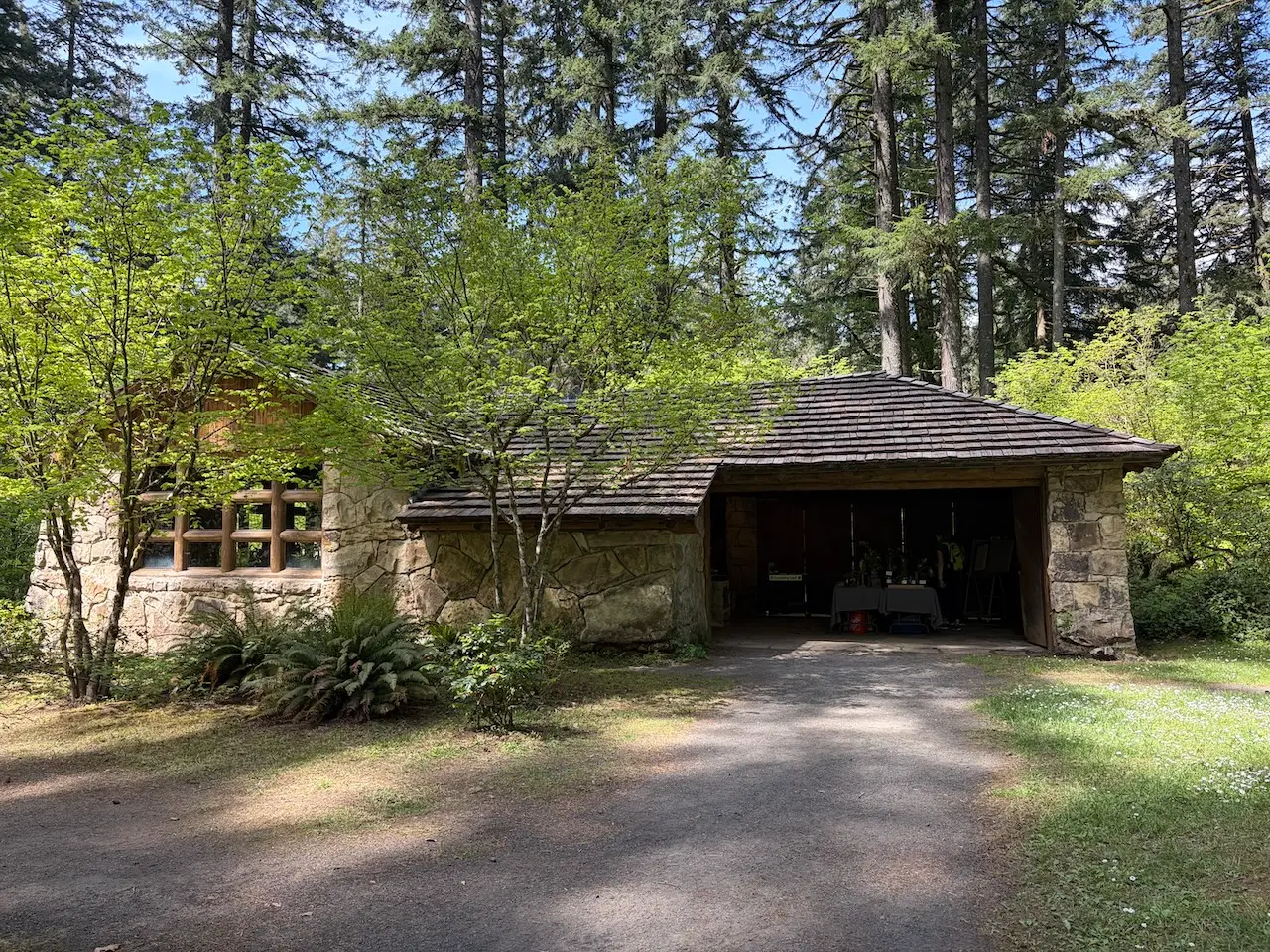 Rustic stone kitchen shelter with cedar shingle roof nestled among tall evergreen trees in a sunlit forest park setting.