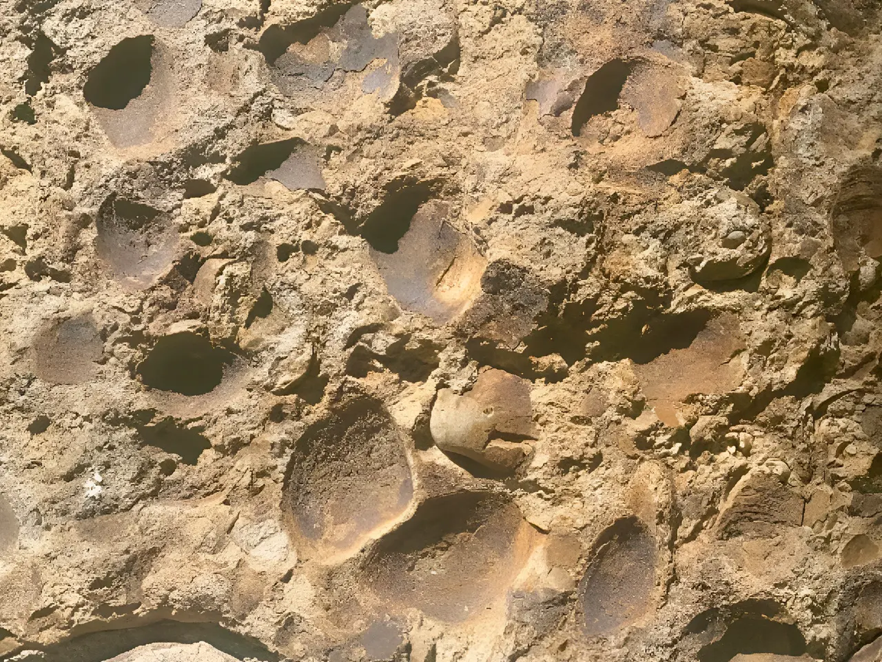 Close-up of volcanic rock wall texture