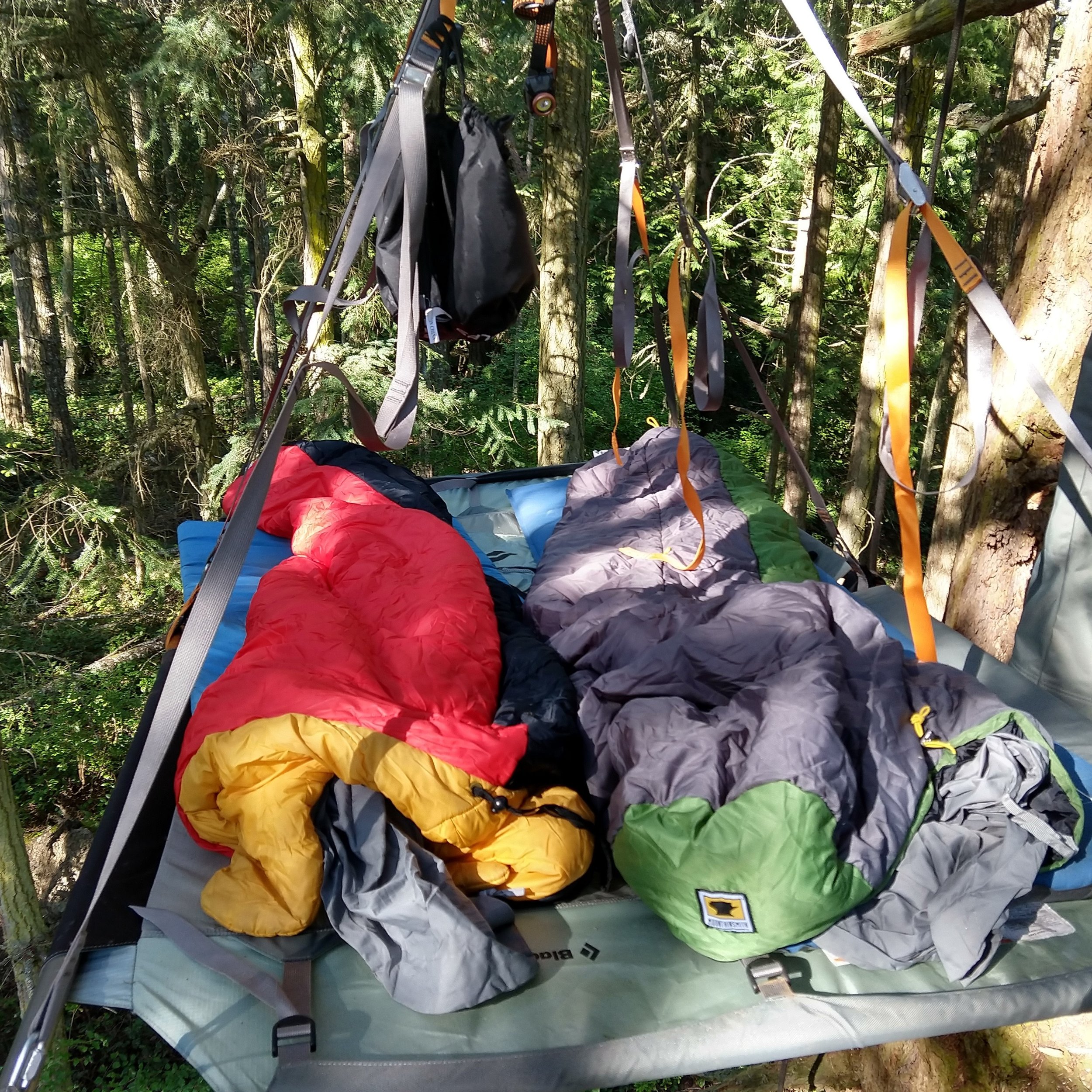 tree camping