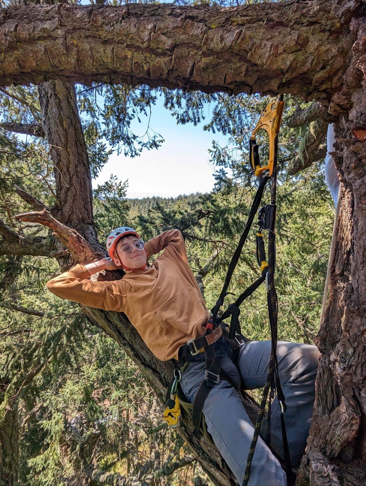 tree climbing2